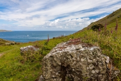 Blackstone Point