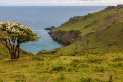Blackstone Point