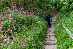 South West Coast Path