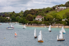 Yacht race, Dartmouth harbour
