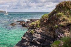 Ladies Cove
