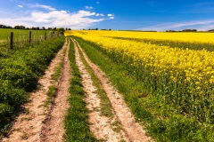 Farm track