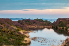 Wolf Moon Rising, Hengistbury Head