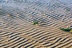 Sand patterns, Studland Peninsula