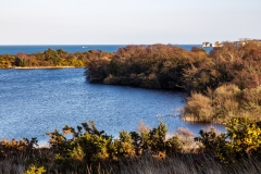 Studland and Godlingston Heath