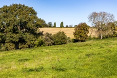 Cranborne Chase landscape near Ashmore, Dorset