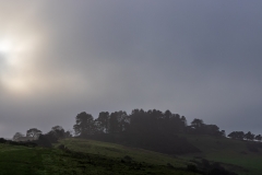 Breaking through the fog over Penbury Knoll