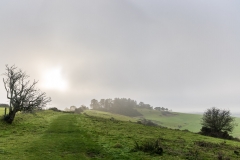 Sunlight in the fog, Penbury Knoll