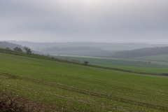 Grey November evening, Cranborne Chase