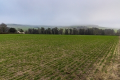 Misty hills and farmland, Cranborne Chase