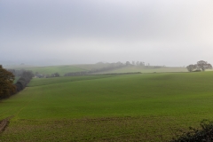 Murky day on Cranborne Chase