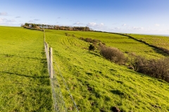 Crossing the Purbeck countryside
