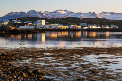 Late evening, Djupivogur