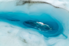 Ice cave formations, Falljökull