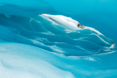 Close up of ice cave, Falljokull