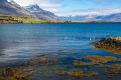 View up Berufjörður, Eastfjords