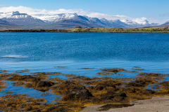 Across the harbour at Breiðdalshreppur, Eastfjords