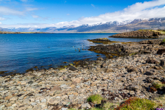 Berufjörður, Eastfjords