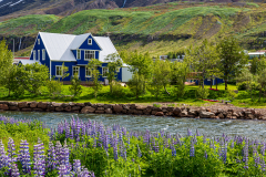 Blue house and riverbank, Seyðisfjörður
