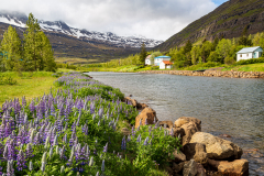 Farðara river valley, Seyðisfjörður