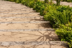 Eden Project