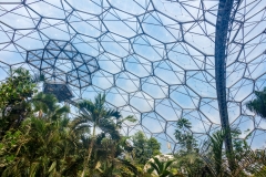 Eden Project
