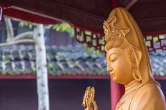 Fuhu Si
