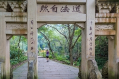 Wooden arch