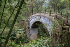Arched Bridge