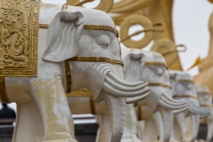 Huazang Si elephants