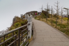 The Golden Summit