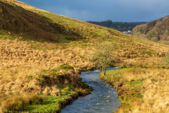 River Barle