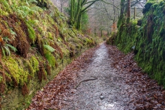 Two Moors Way