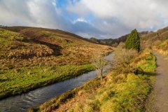 River Barle