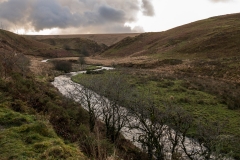 River Barle