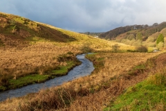 River Barle