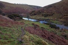 River Barle
