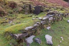 Wheal Eliza