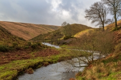 River Barle