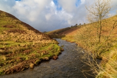 River Barle