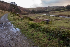 Exmoor footpath