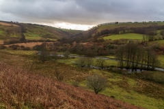 River Barle
