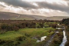 High on Exmoor
