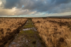 Exmoor footpath