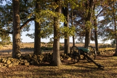 Confederate artillery positions