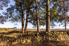 Confederate artillery positions