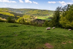 View over the Wye Valley from Lower Meend