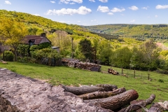 Overlooking the Wye Valley