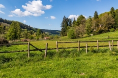 Wye Valley scene