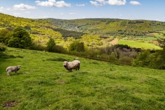 View over the Wye Valley from Lower Meend